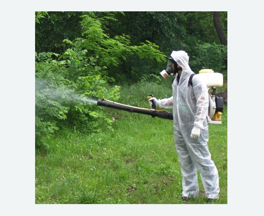 обработка дачи от клещей обработка территории от клещей в Крылатском районе Москвы