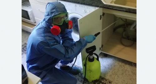 Уничтожение муравьев в квартире. Крылатское