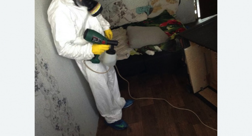 Обработка квартир от насекомых в Крылатском районе Москвы