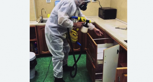 Дезинсекция квартиры. Крылатское