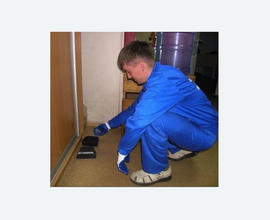 Дератизация крыс Дератизация крыс в Крылатском районе Москвы