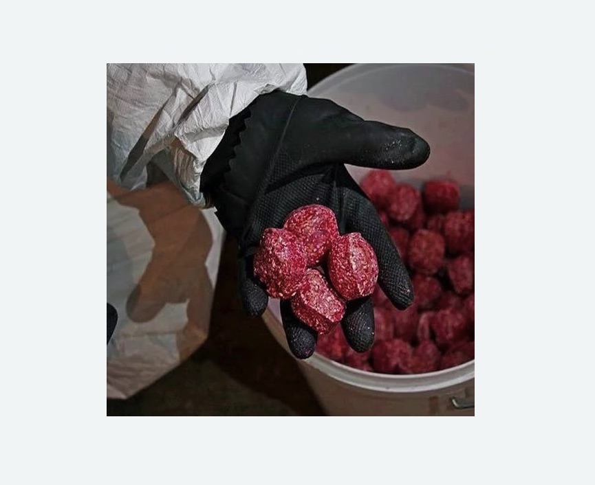 Обработка от крыс Обработка от крыс в Крылатском районе Москвы