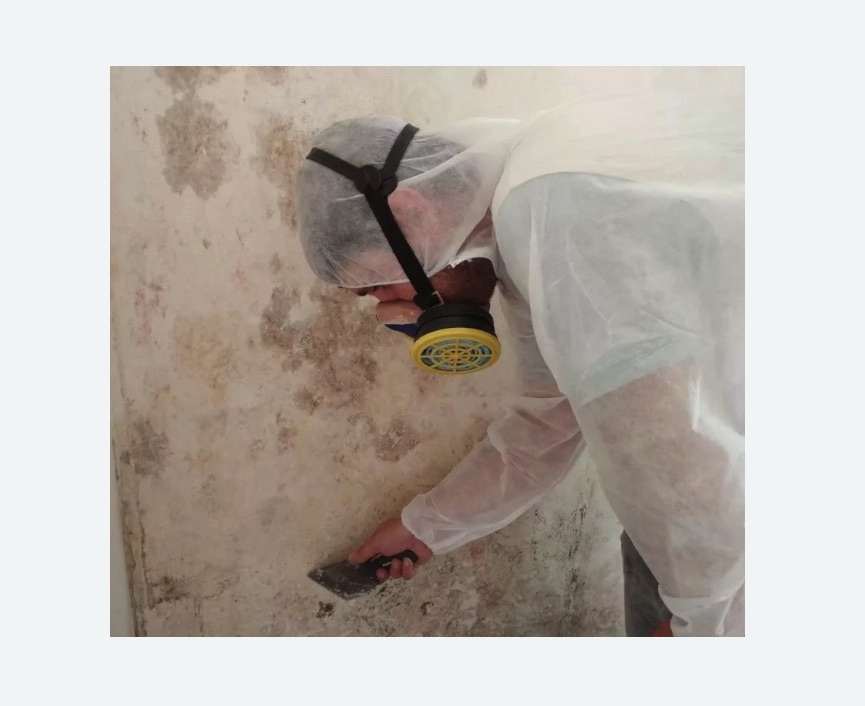 Обработка стен от плесени в Крылатском районе Москвы