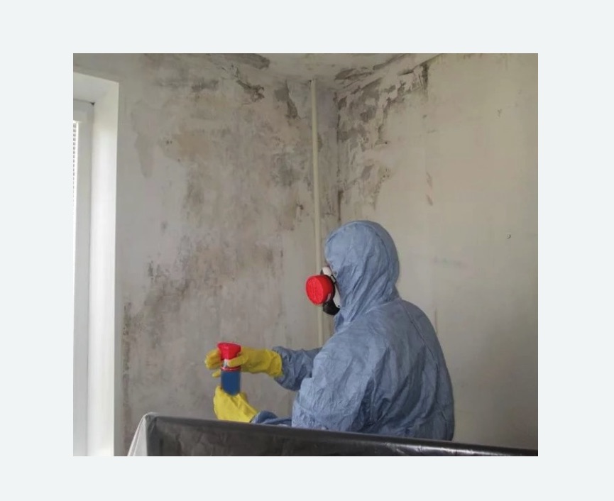 Удаление плесени в квартире в Крылатском районе Москвы