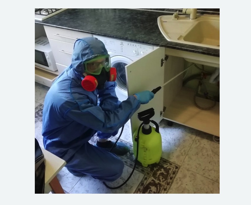 обработка от муравьев в квартире обработка от муравьев в квартире в Крылатском районе Москвы